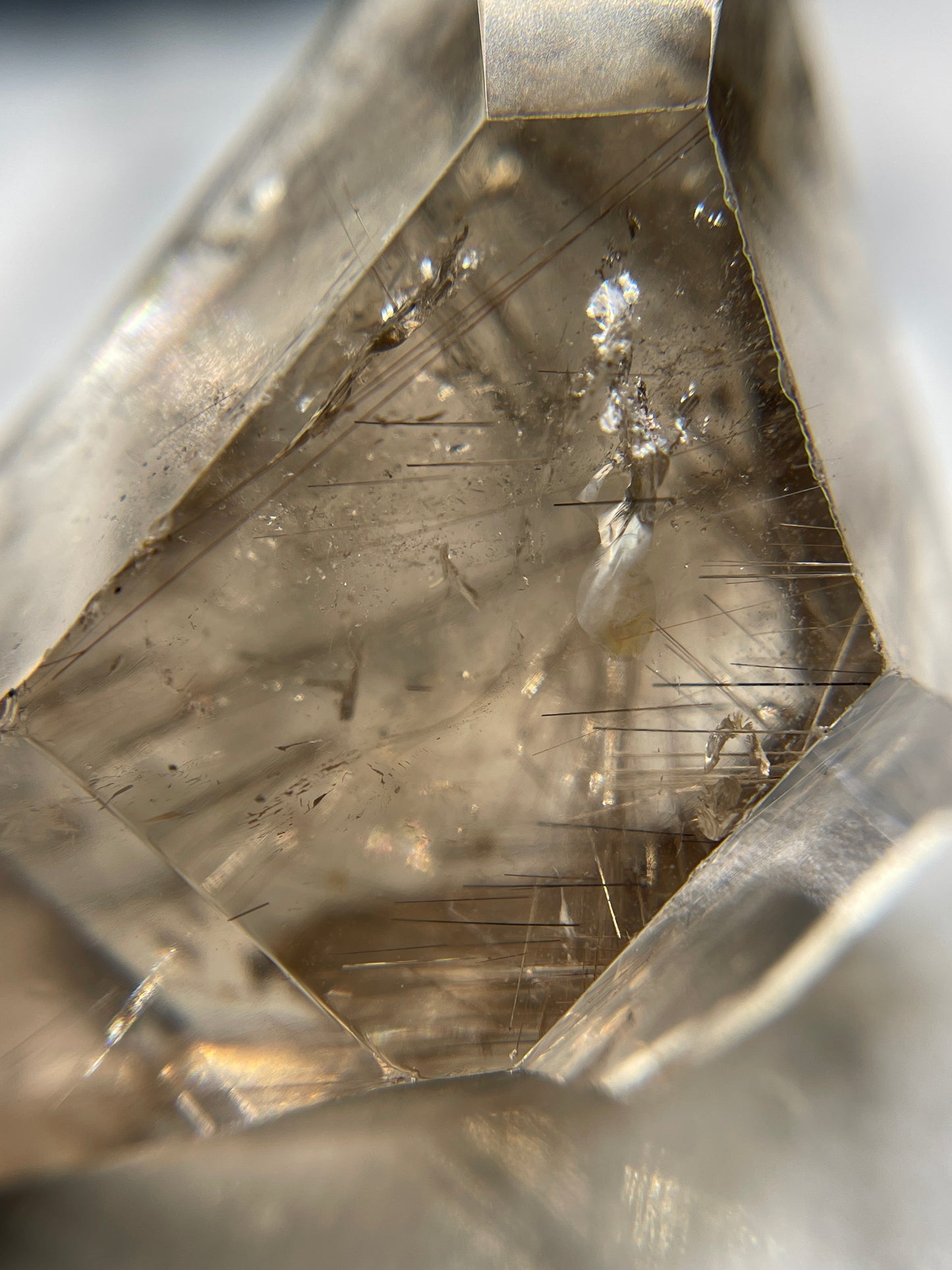 Rutile In Smoky Quartz Freeform