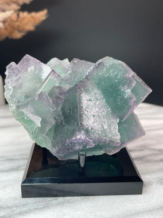 Teal Cubic  Fluorite With Purple Zoning // Hunan Xianghualing, China