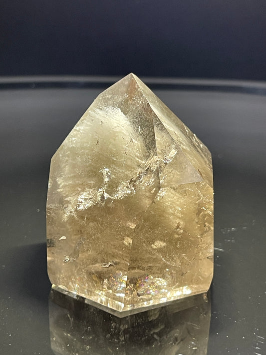 Thousand Layer Lodolite Garden Smoky Quartz Point