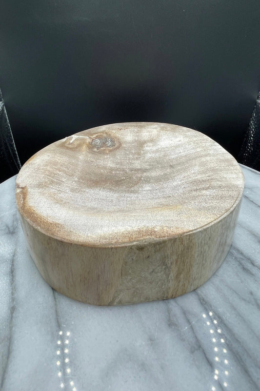 Petrified Wood Bowl