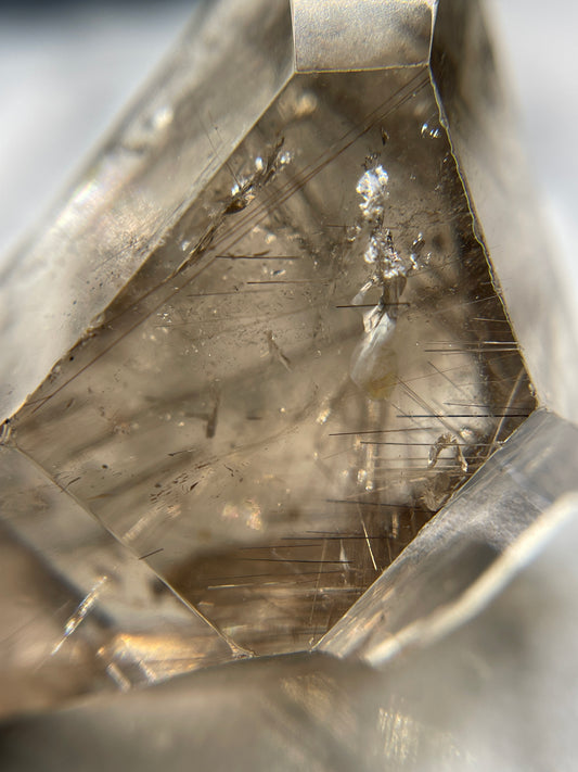 Rutile In Smoky Quartz Freeform